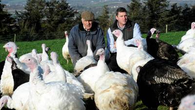 Lean times for turkey producers due to low prices