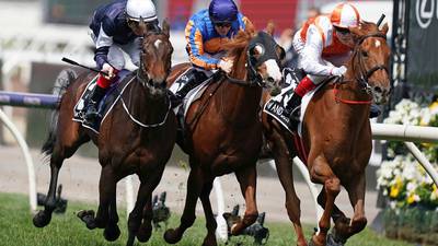 Plusvital shows form in Melbourne Cup win