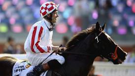 Lynam’s star sprinter Sole Power in line for first Curragh start since 2011