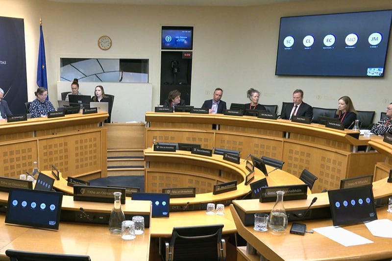 ‘Every child in the State should have the opportunity to be educated through Irish,’ committee told