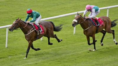 Caponata to strike for Weld and Smullen at Leopardstown in  Coolmore Matron Stakes