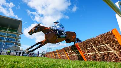 Cheltenham festival a winner for Flutter with €275m in bets placed