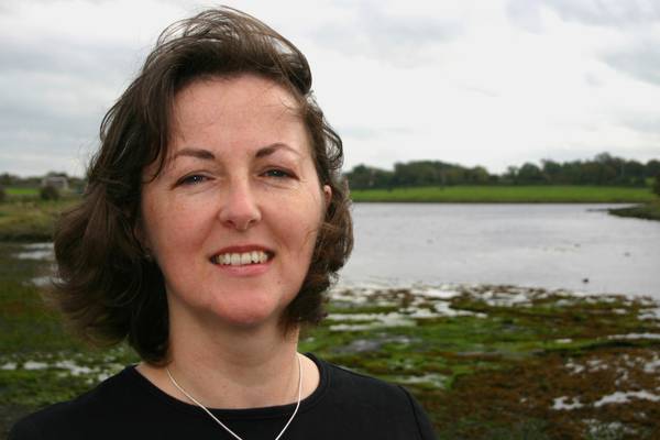 Young adult fiction round-up: reworking of Irish myth is a hit