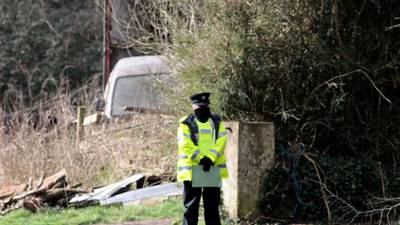 Gardaí in Cork murder-suicide case examining if brothers rowed over livestock