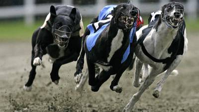 Greyhound board paid out €300,000 in error