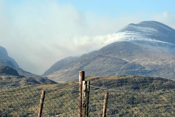 The Irish Times view on mountain fires: an ecological disaster