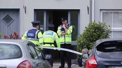 Locals express shock after baby girl killed by dog in Waterford village