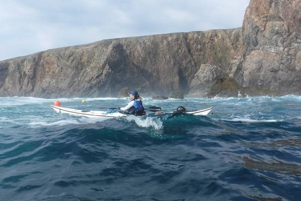 For the birds: the joy of sea-kayaking