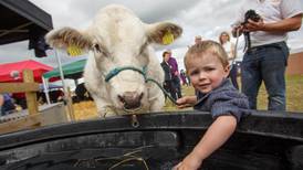 Tullamore Show  ‘brings all of rural Ireland out’