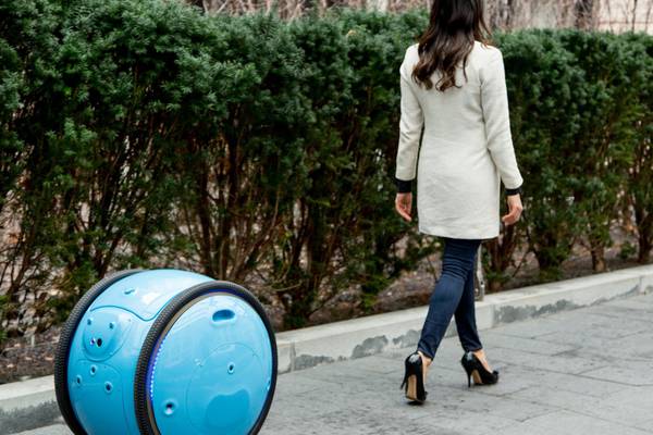 Heavy loads to carry? Meet Gita, the cargo-lugging robot