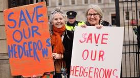 ‘It’s happening all over the country’ - Protest highlights annual destruction of 3,000km of hedgerows