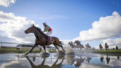 Big Shu to turn a pretty buck for Peter Maher in Glenfarclas Cross-Country