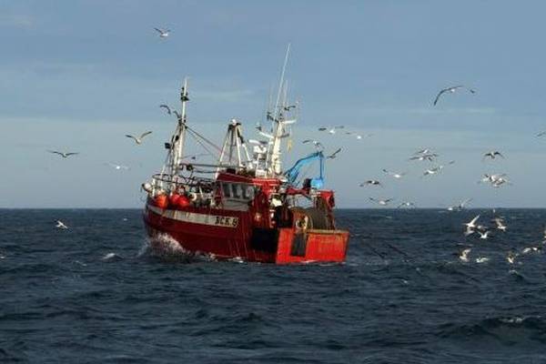 Fishing sector requests access to report that says catches must be weighed portside