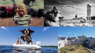 Summer photography competition: All your best entries from week one