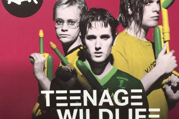 Ash: Teenage Wildlife review – 25 years of punky pop genius