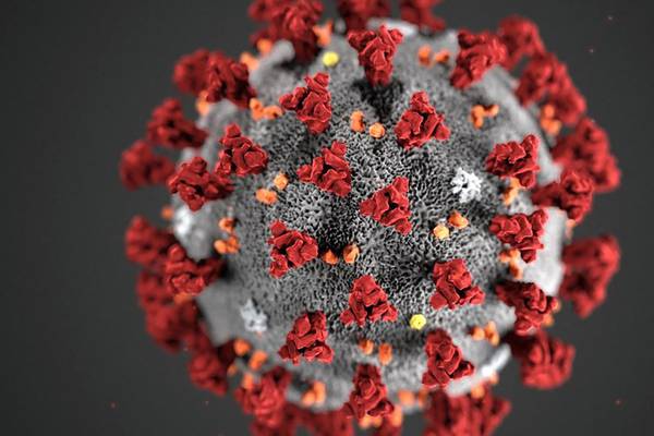 The science behind the race to develop a coronavirus vaccine