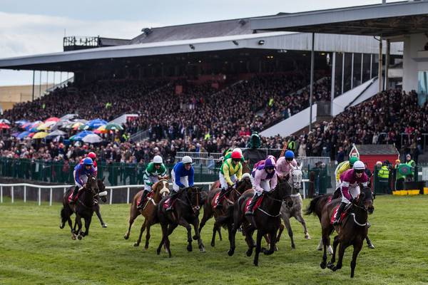 Punchestown and Galway aim to race away during vaccination campaign