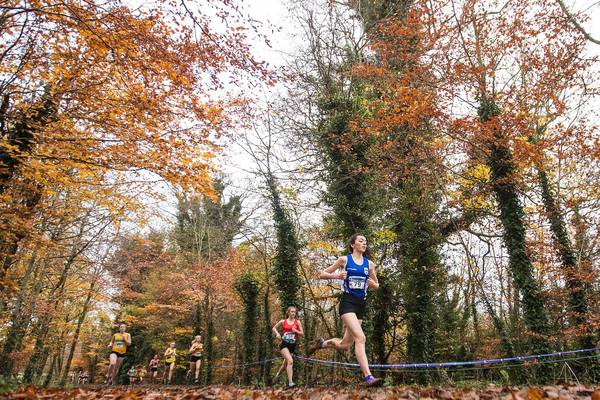 Abbotstown to host delayed European Cross-Country championships