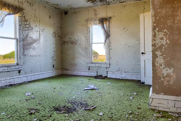 Househunter: ‘We hope for rot or mouldy carpet, to deter others’