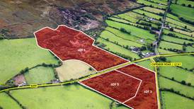 Part of  former Silvermines lead mine near Nenagh goes on sale