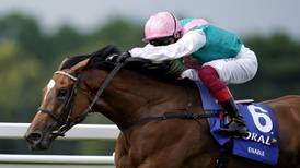 Aidan O’Brien has four to take on Enable in Ascot King George