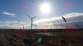 SSE Renewables to buy Offaly wind farm