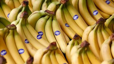 Fyffes ends imports from Belize producer over drugs link
