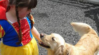 Dogs in demand: girl with Asperger’s has had her life transformed