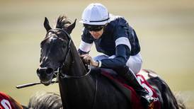 Irish Derby hero Latrobe set to take Leger option for next outing