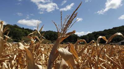 EU rules on banning of GM crops move one step closer