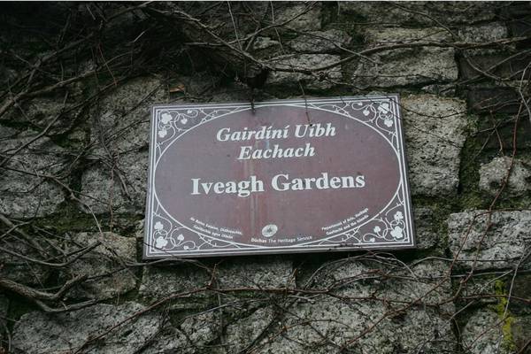 Science centre will not be built in Iveagh Gardens, says OPW