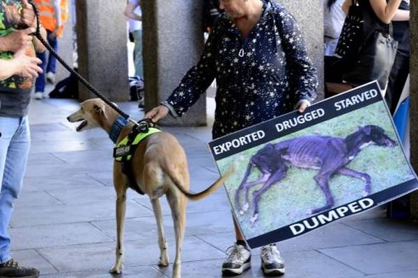 Public funding of greyhound racing