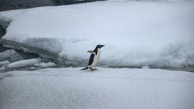 Scientists astonished by heatwaves at north and south poles