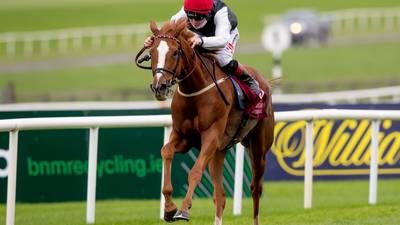 Dermot Weld keeps options open for Search For A Song