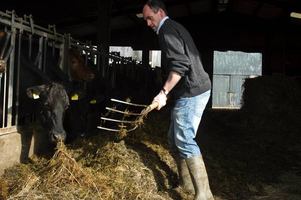 Fodder crisis exacerbated by difficult weather conditions