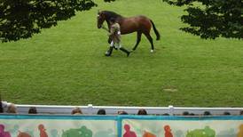 Dublin Horse Show: The buzz is great, and so’s the shopping