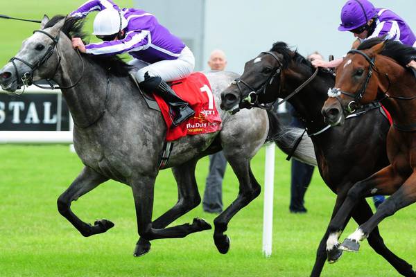 Moore aims to complete full set of British classics on Capri in St Leger