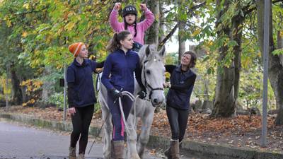 Horse power: the benefits of equine therapy