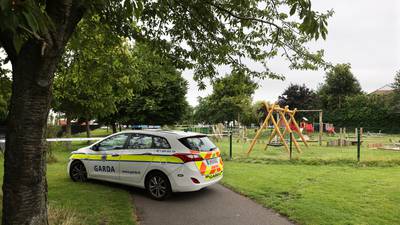 Man’s body discovered in south Dublin park, gardaí investigating