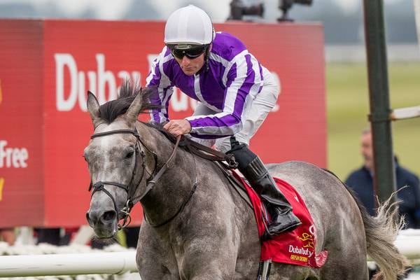 Capri set to try and plug Champion Stakes gap for O’Brien at Ascot