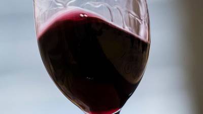 Web Log: Red wine is (sort of) good for your brain
