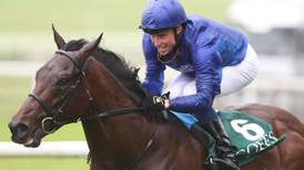 Pinatubo could light up Newmarket’s Guineas weekend