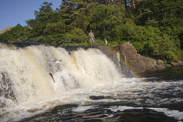 Galway’s Eriff Fishery records its best salmon return in six years