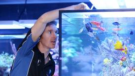 Bowled over by a new age of aquariums