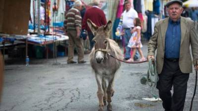 Coronavirus: Call for historic Cahirmee Horse Fair to be cancelled