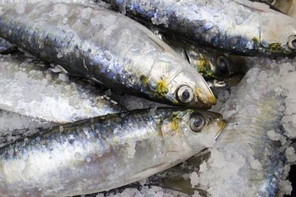 Omega 3 fatty acids in seafood linked to healthy ageing