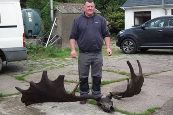 Antlers of extinct giant Irish Elk found at the bottom of a lake