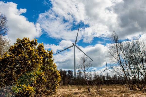 Wind energy: Why is Ireland not fulfilling its potential?