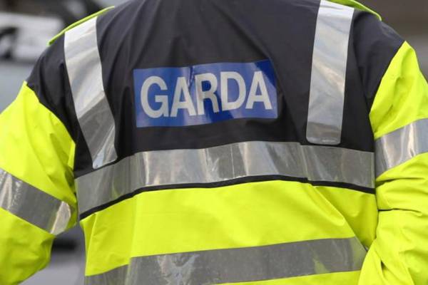 Garda searching for body of murdered boy find skeletal remains