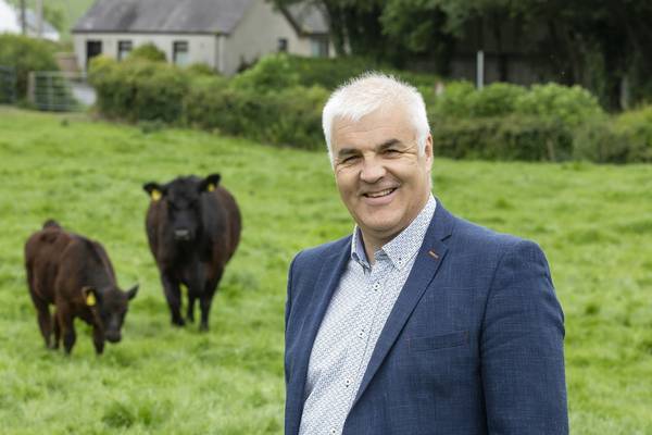 Devenish expects small revenue growth as Covid-19 curbs ambition